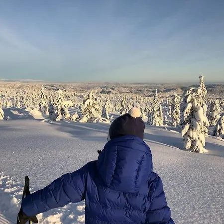 Delikat Tommerhytte Pa Blefjell *