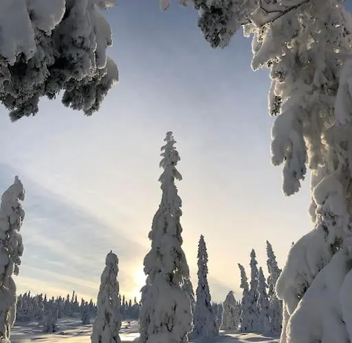 Delikat Tommerhytte Pa Blefjell *