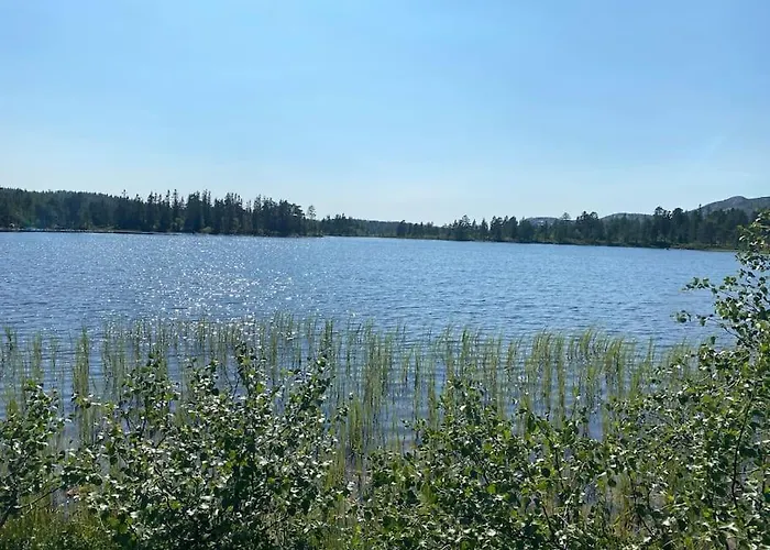 Delikat Tommerhytte Pa Blefjell * Flesberg