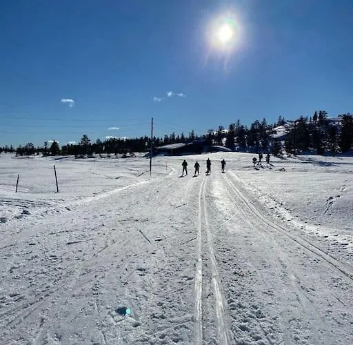 Delikat Tommerhytte Pa Blefjell Casa vacanze
