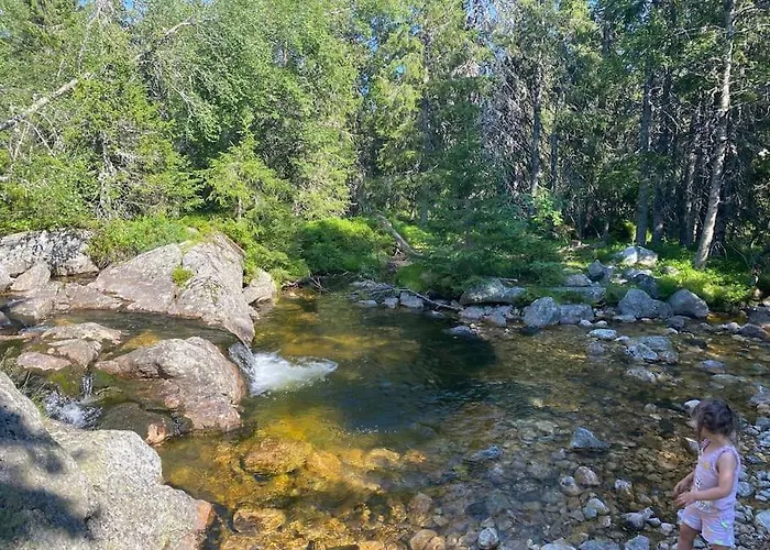 Delikat Tommerhytte Pa Blefjell Casa vacanze *