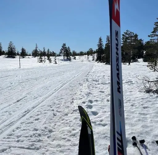 Casa vacanze Delikat Tommerhytte Pa Blefjell *