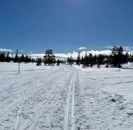 Delikat Tommerhytte Pa Blefjell Flesberg