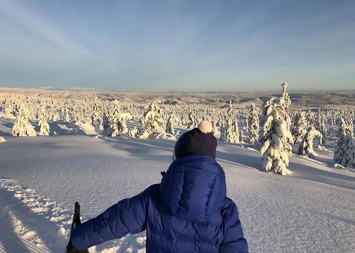 Delikat Tommerhytte Pa Blefjell *