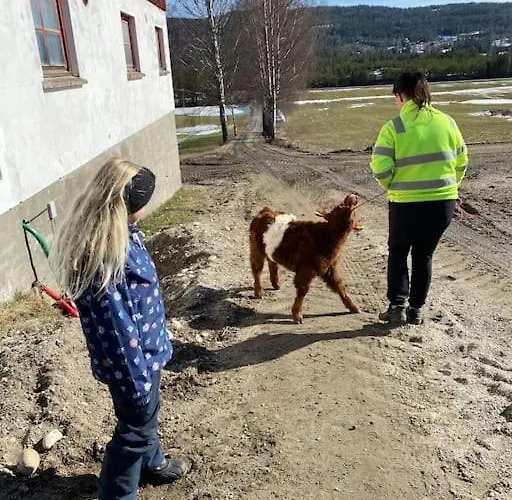 Delikat Tommerhytte Pa Blefjell