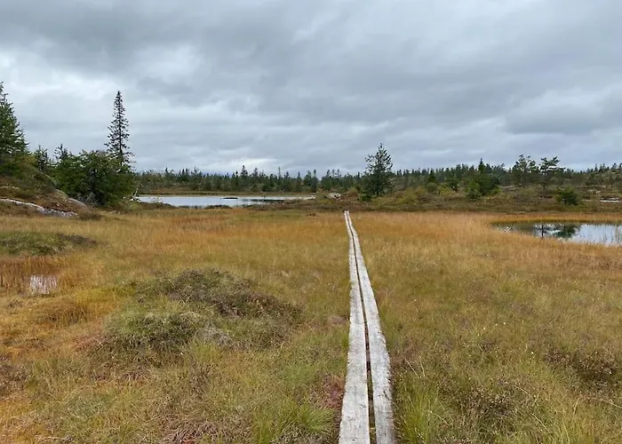Delikat Tommerhytte Pa Blefjell Casa vacanze
