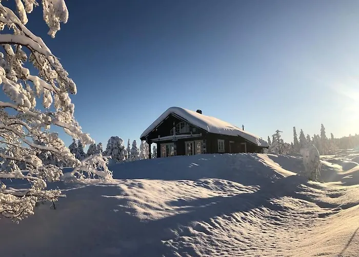Casa vacanze Delikat Tommerhytte Pa Blefjell Flesberg