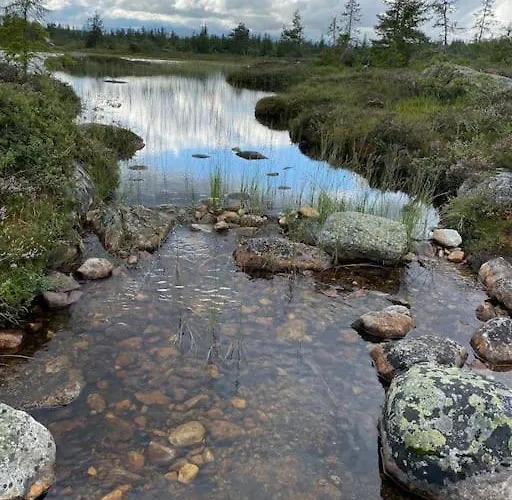 Delikat Tommerhytte Pa Blefjell *