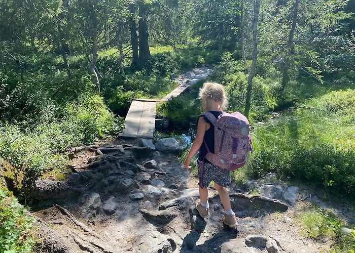 Casa vacanze Delikat Tommerhytte Pa Blefjell *